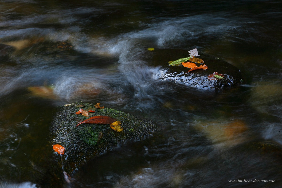 Langsam fließt der Herbst hinweg
