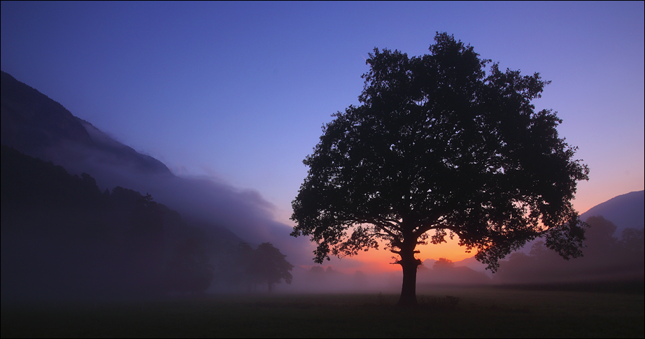 Ein nebliger Morgen