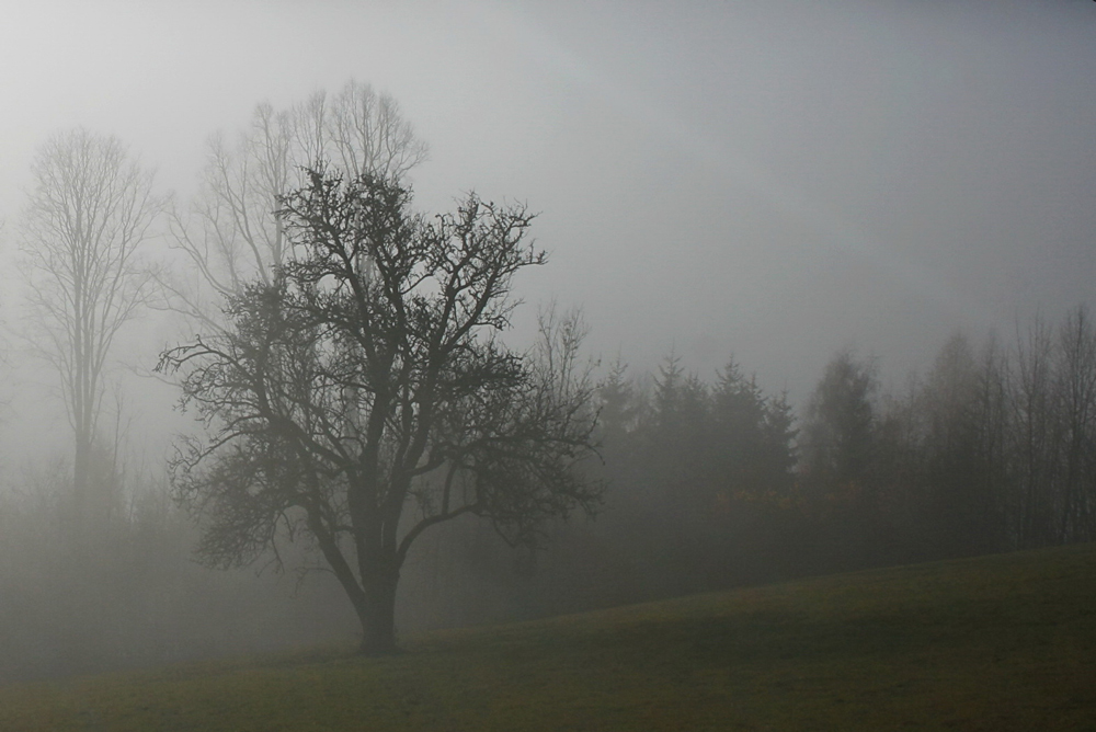 Im Nebel versunken...