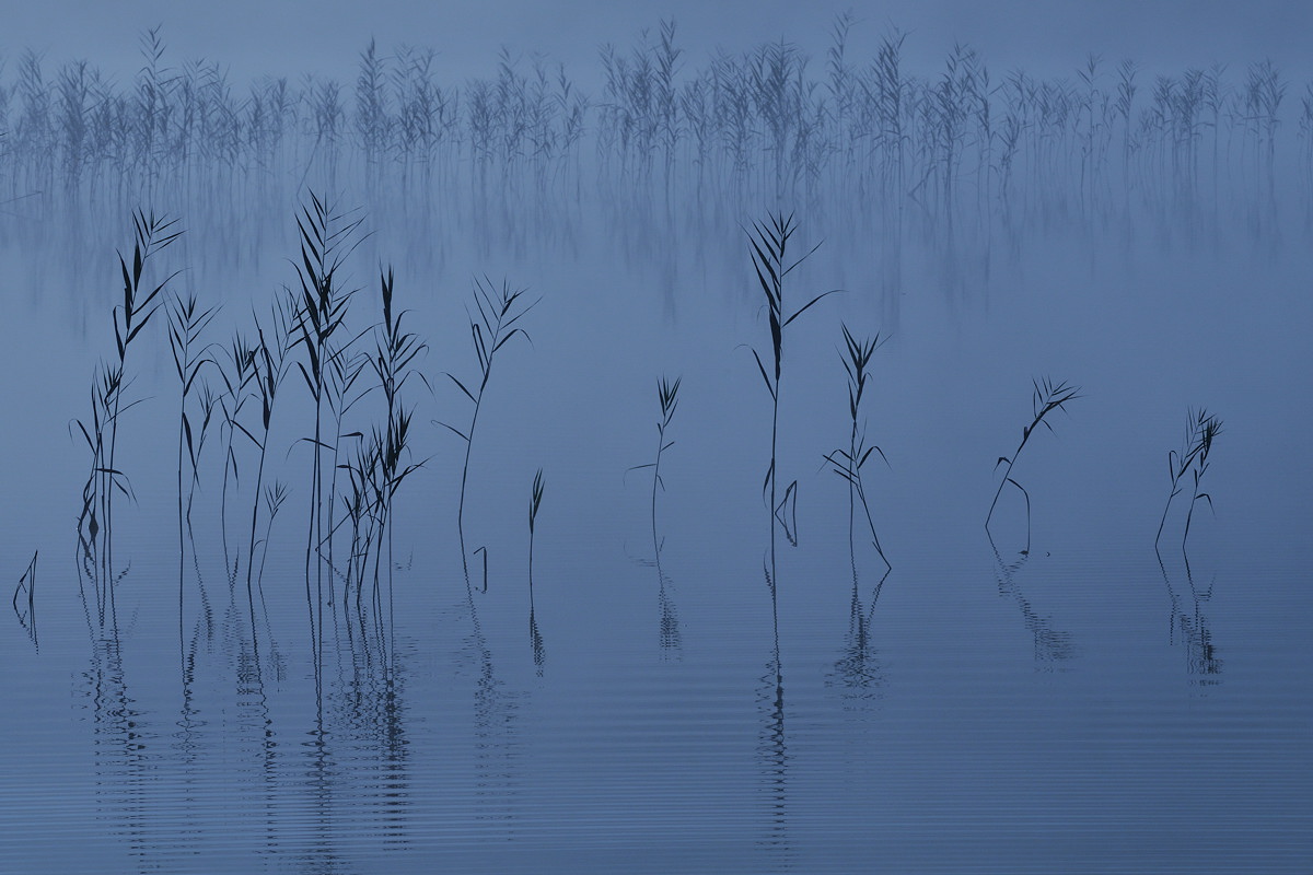Novembermorgen