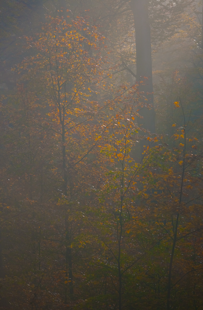 Herbstfarben