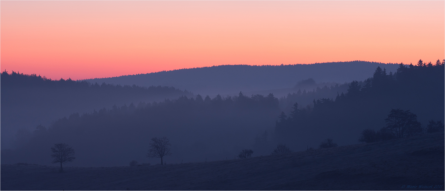 Morgenstimmung auf dem Sandberg
