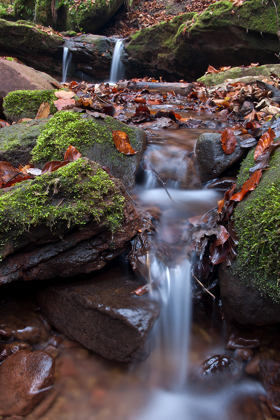 Im Butzerbachtal II