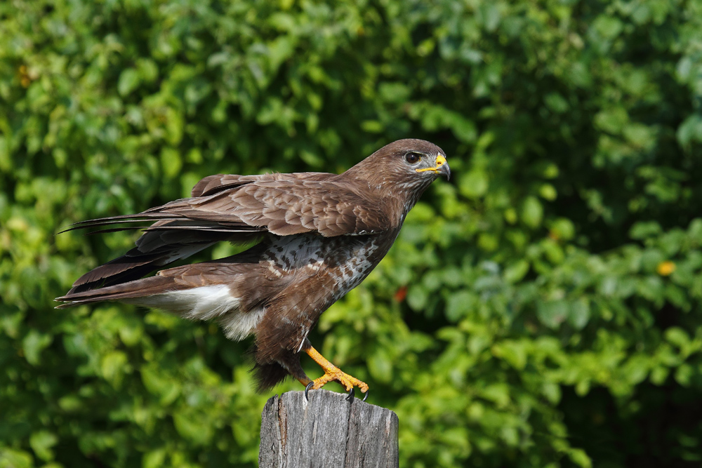 Vor dem Abflug