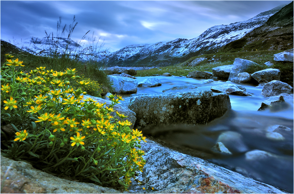 In den hohen Tauern