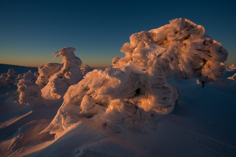 Hoffentlich gibts wieder so viel Schnee