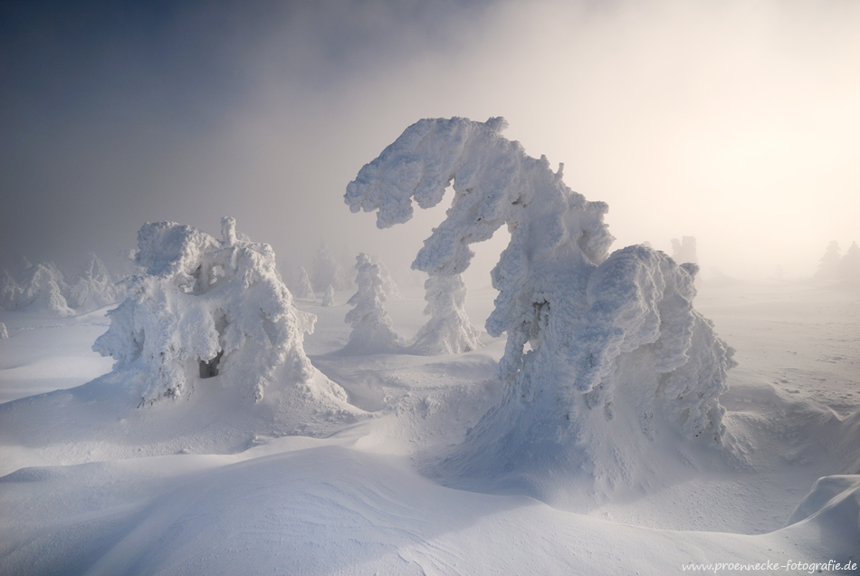 Winternebel