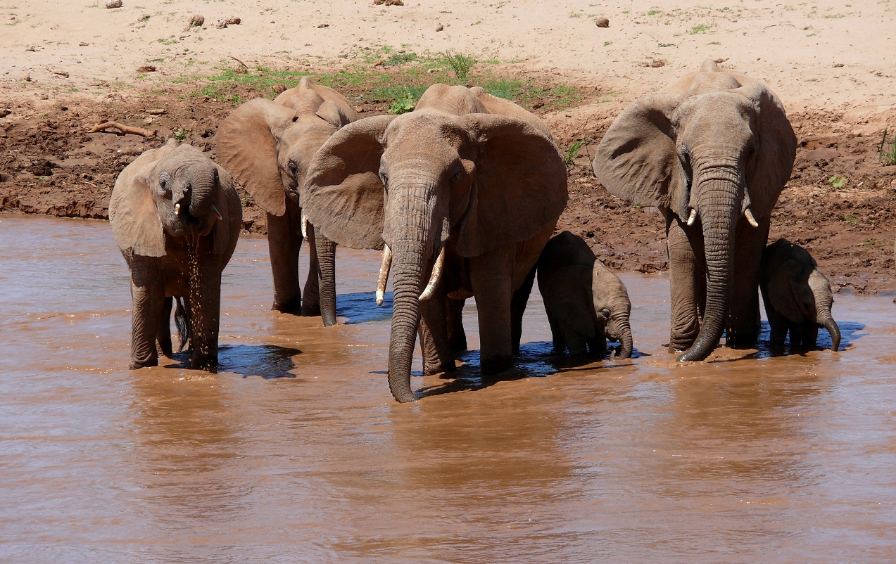 River Crossing