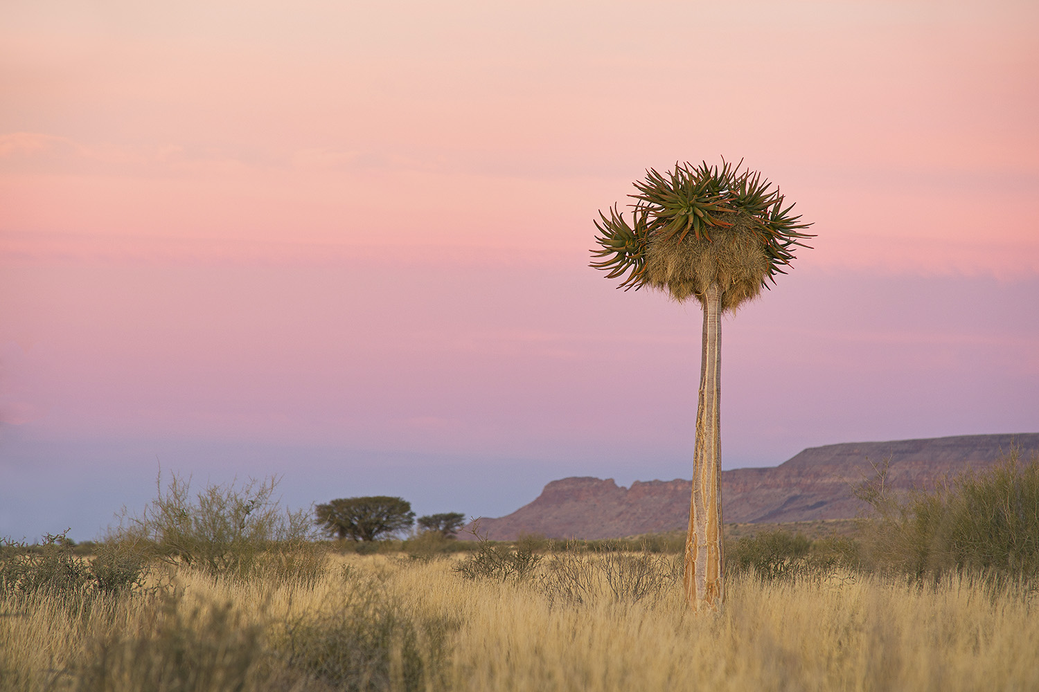 Erdschatten im südlichen Afrika