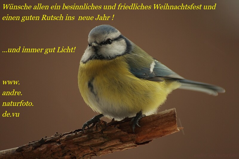 An ALLE