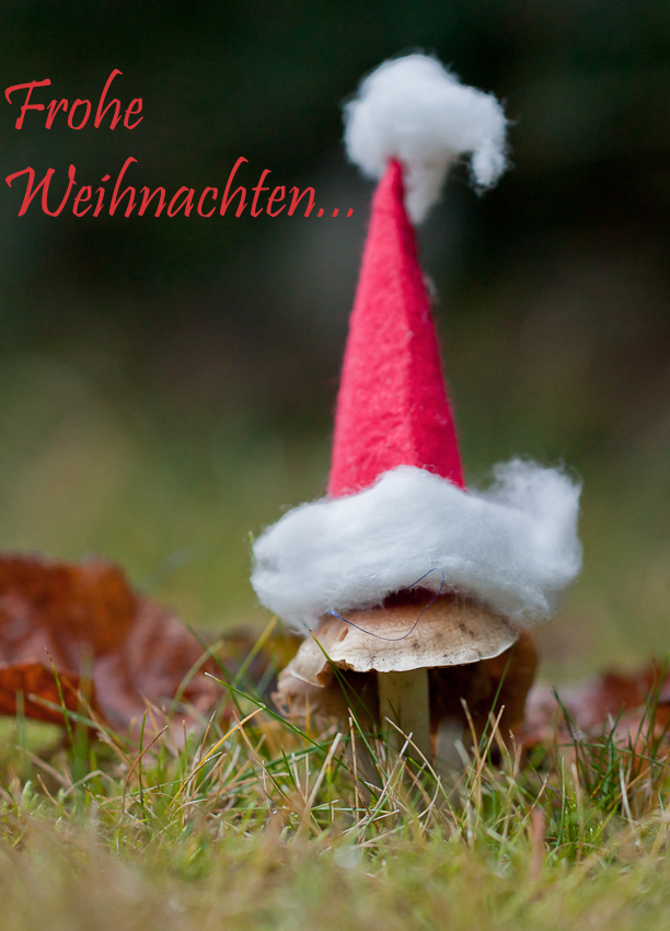 Weihnachtswünsche