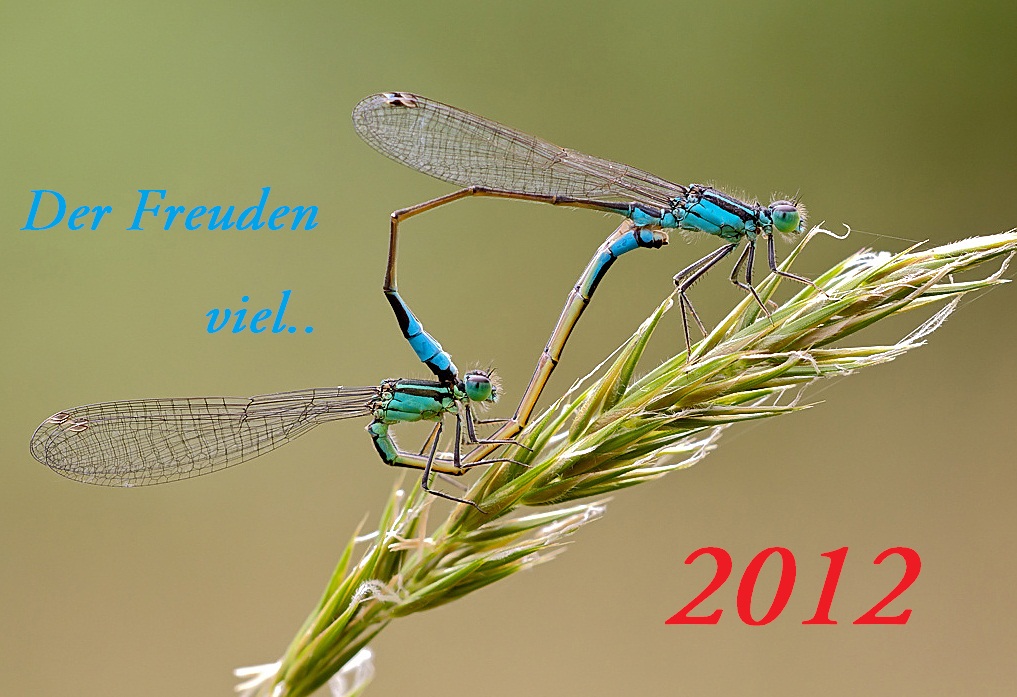 Ohne Kommentar...