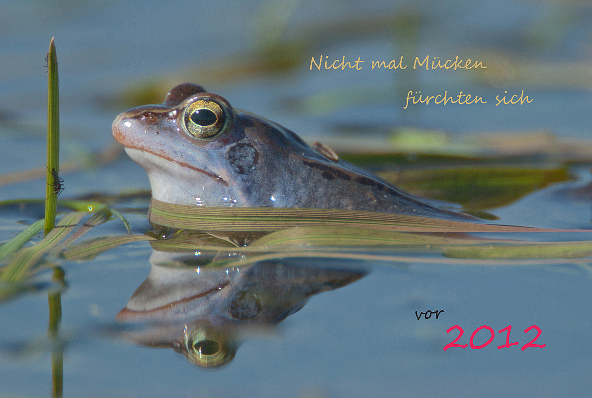 zum Neuen Jahr....
