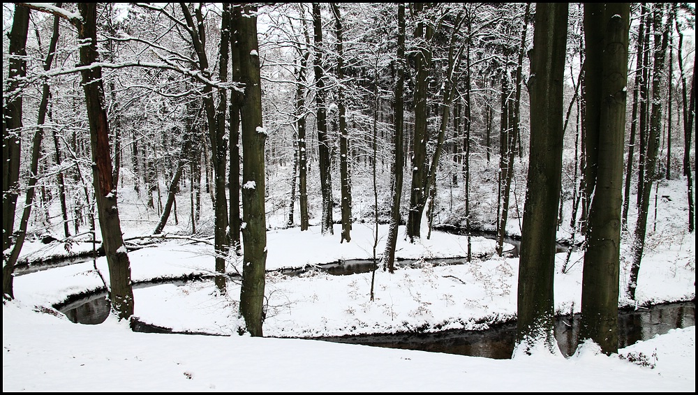 Schleifen in Weiß