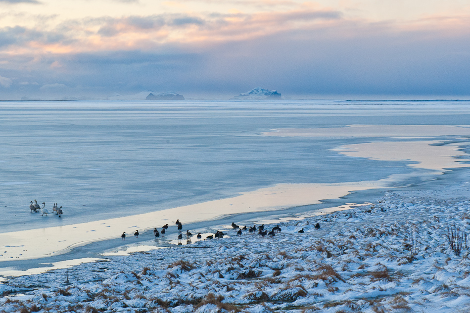 Winter in Island