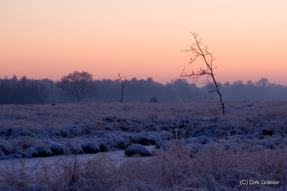 Emsdettener Venn im Abendrot
