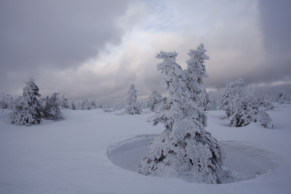 Im Schneegewande