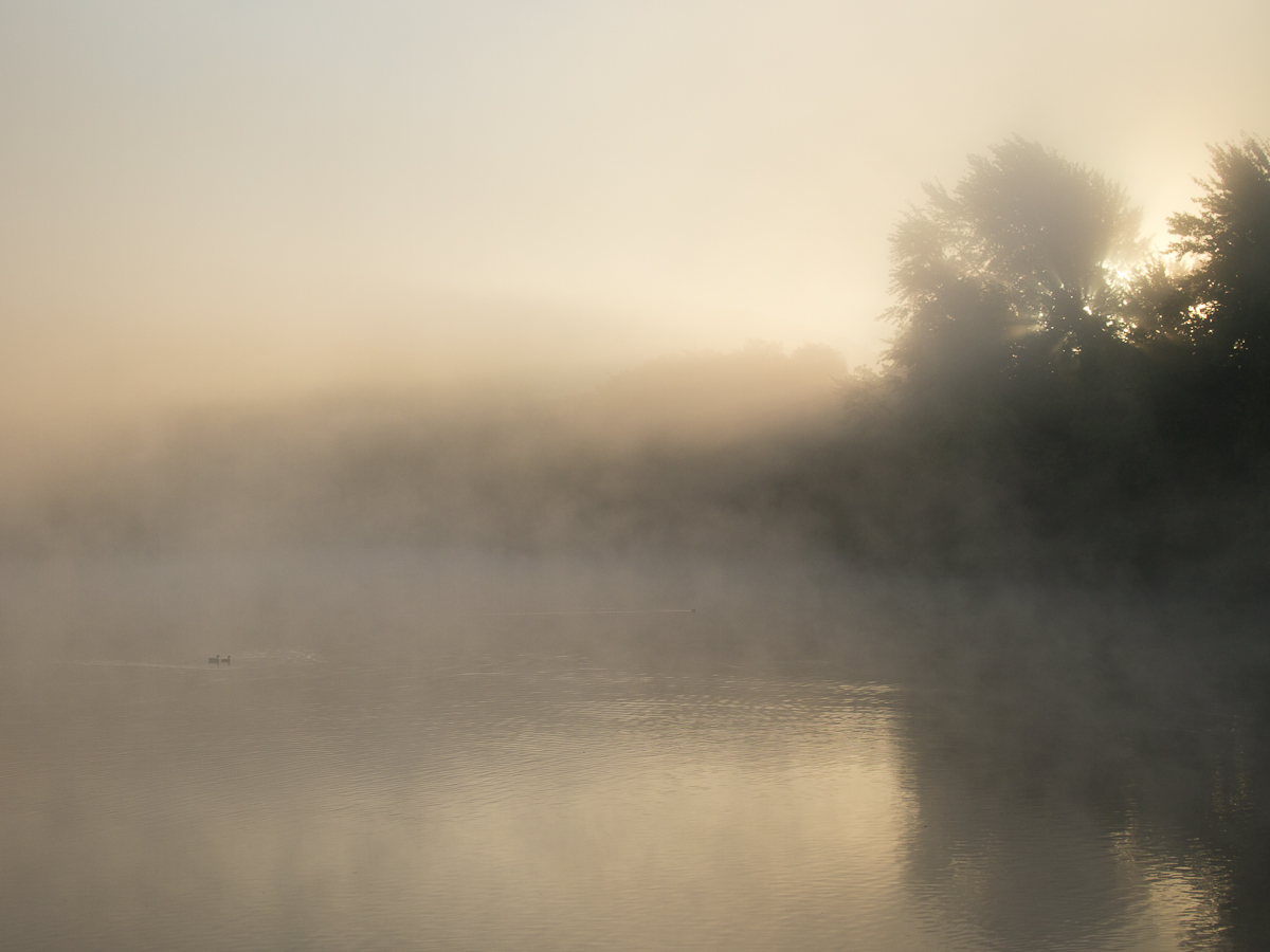 Morgennebel