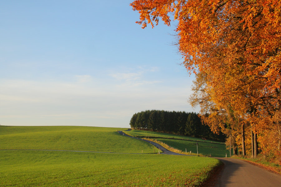 Ein Morgen im Herbst ND