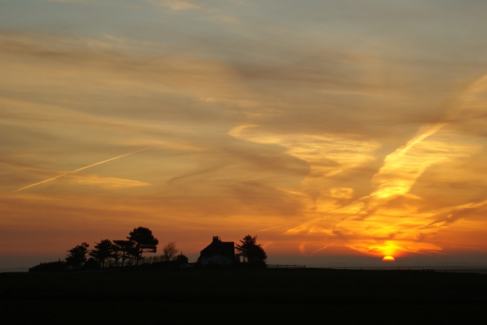 Amrum