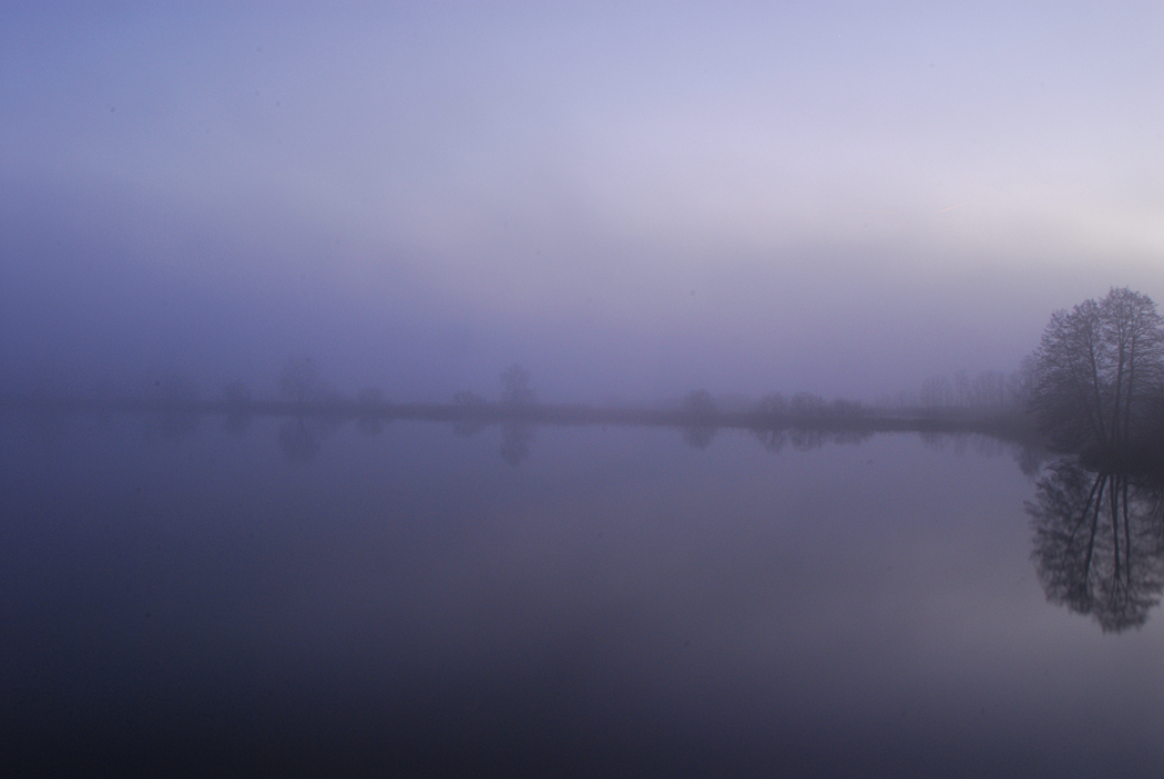 blaue Stunde im Nebel