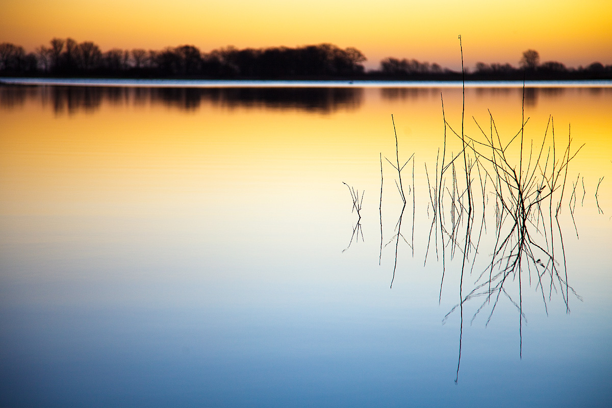 Morgenstimmung im Elbdeichvorland