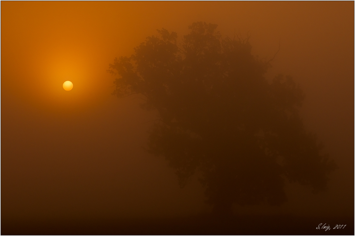 Nebelstimmung
