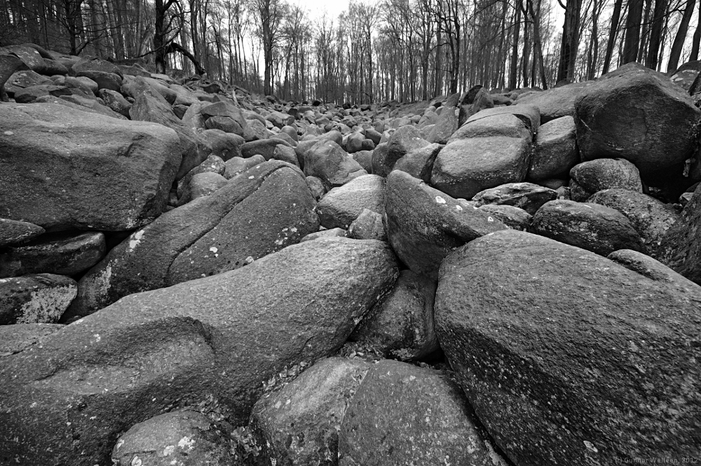 Für eine Handvoll Steine (Forum für Naturfotografen)