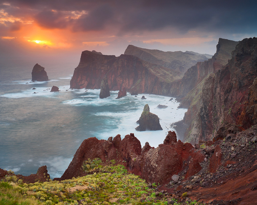 Wildes Madeira