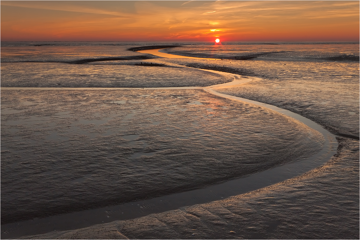 Abend im Watt (Forum für Naturfotografen)