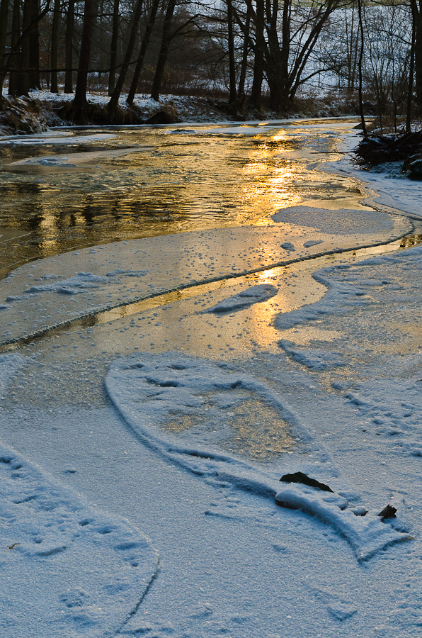 Eisfisch