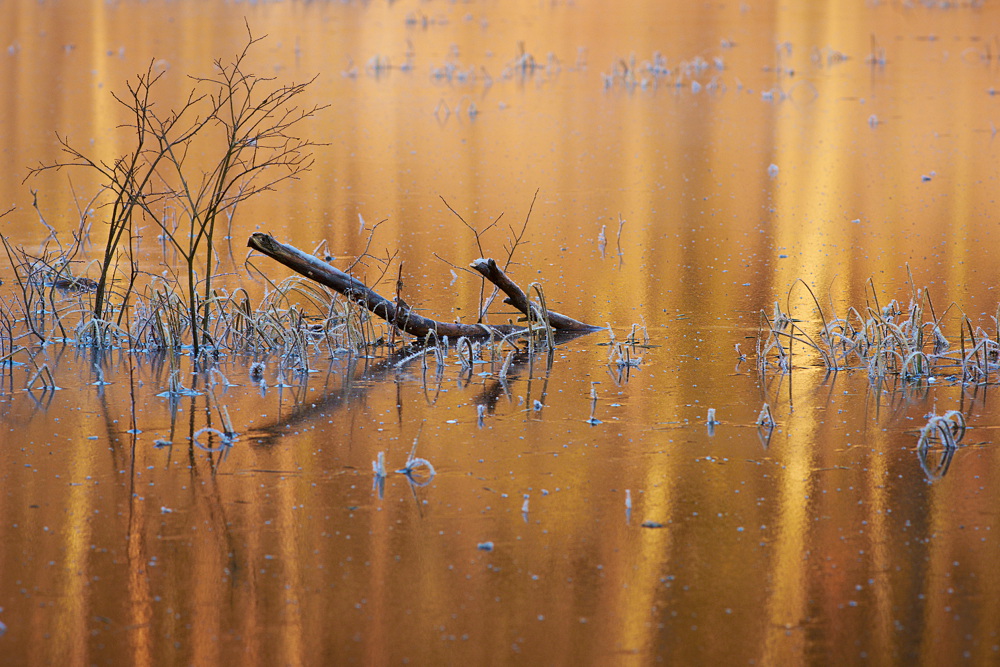 Winterfarben