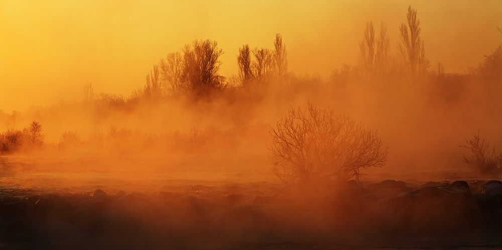 Wintermorgen am Rhein