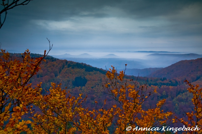 Aussicht vom Pfälzer Drachenfels