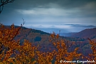 Aussicht vom Pfälzer Drachenfels