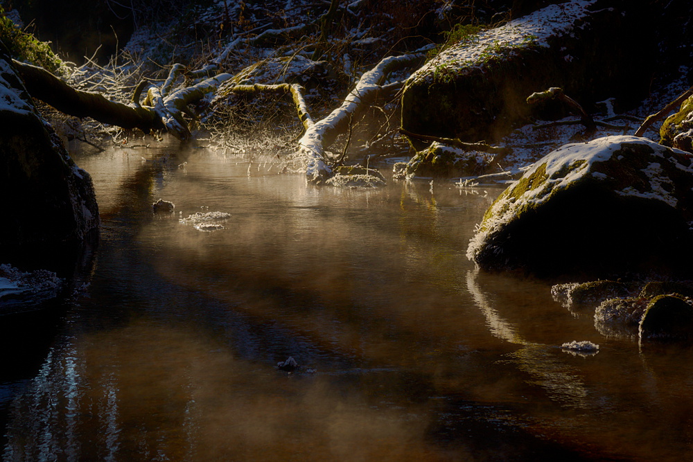 Licht in eisiger Landschaft