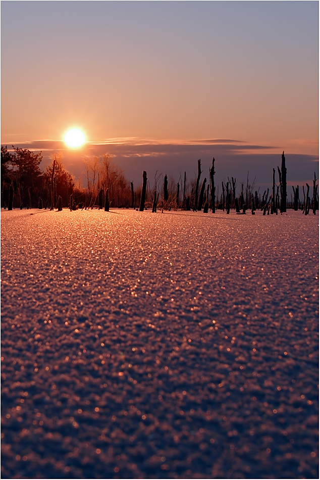 Wintersonne