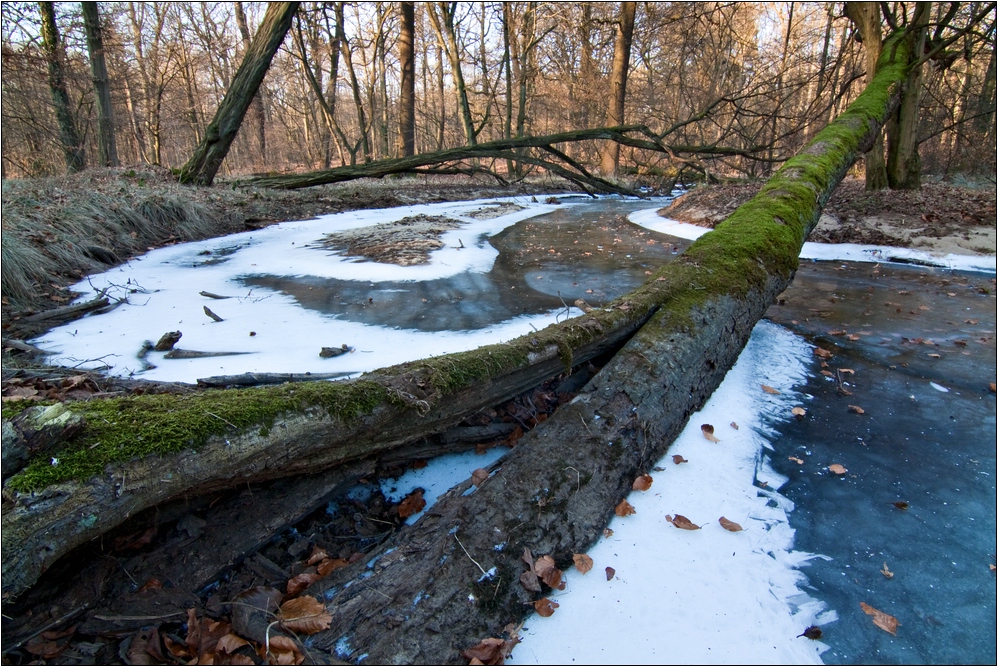 Gespalten on Ice