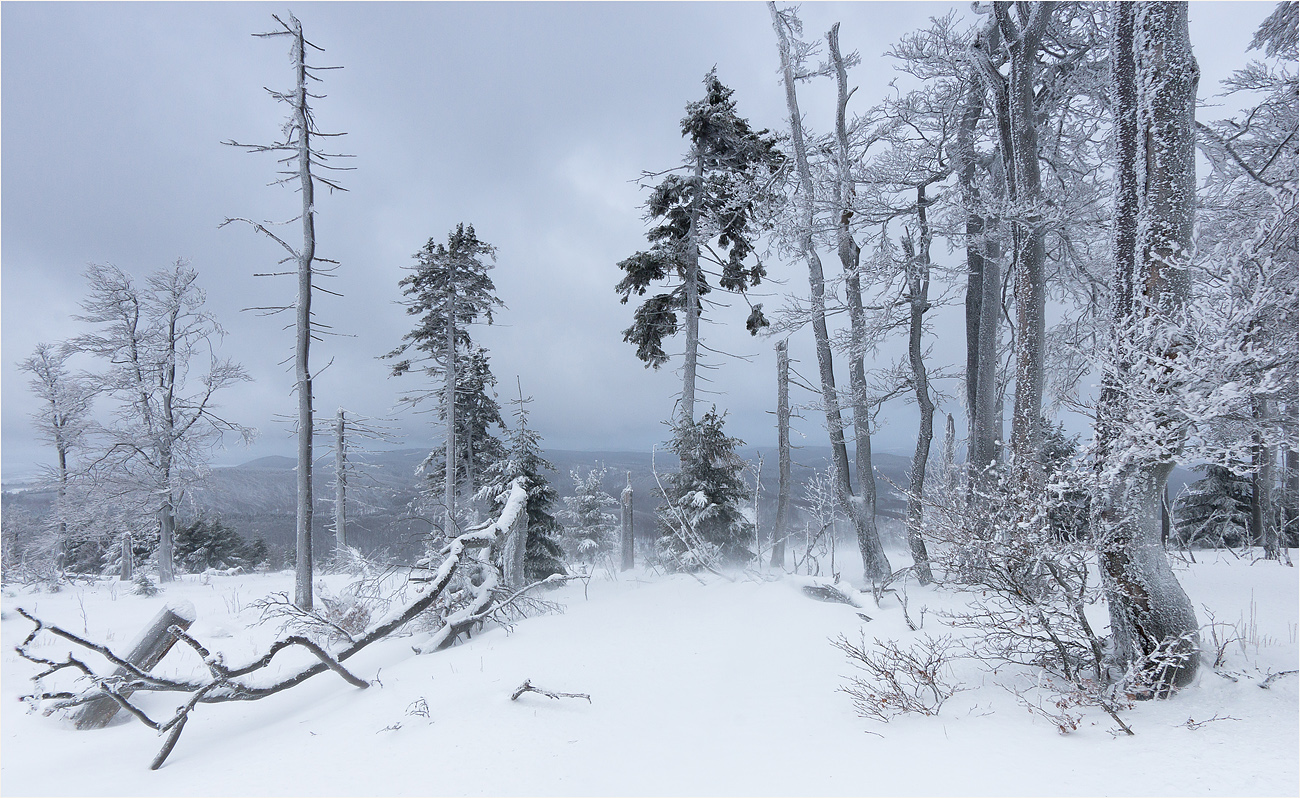 Winterlicher Inselsberg