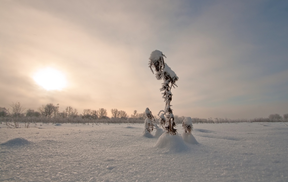 Winter