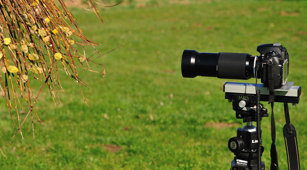 Makro-Tele-Zoom - aus Alt mach Neu