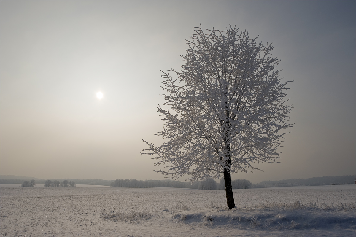 Felsenloser Elbsandsteinwinter