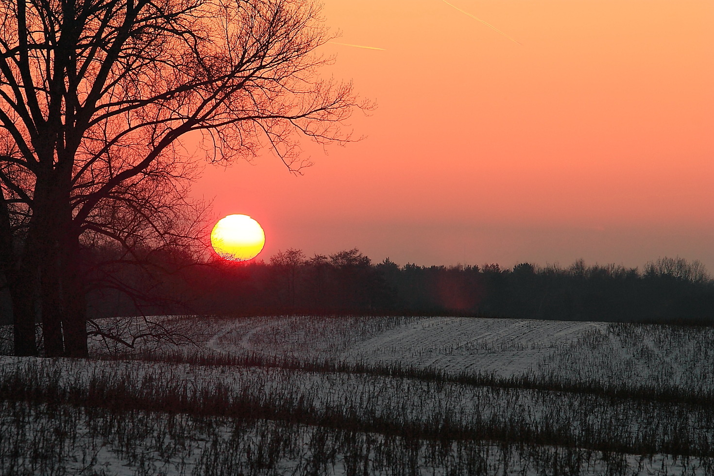 Kalter Abend auf dem Feld