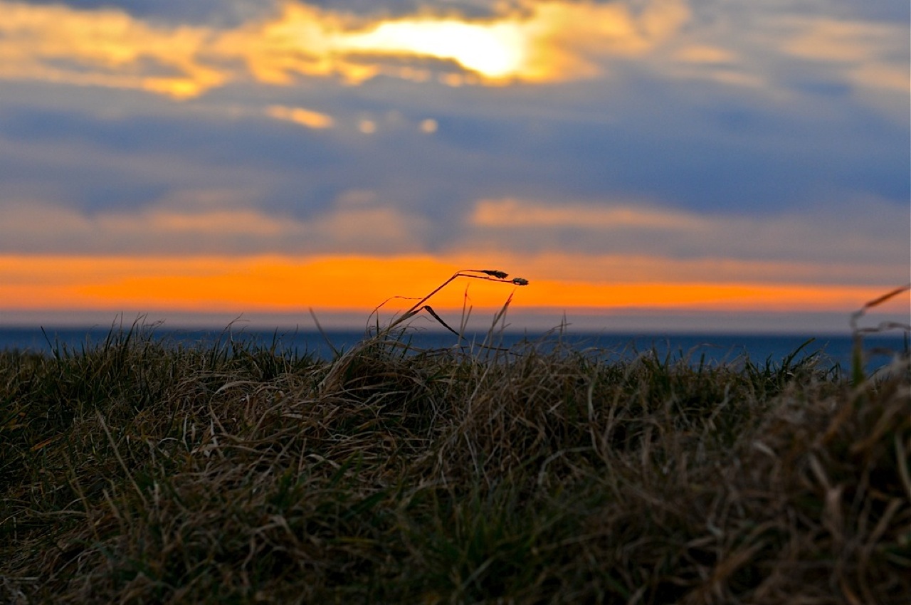 Abendstimmung auf Fehmarn