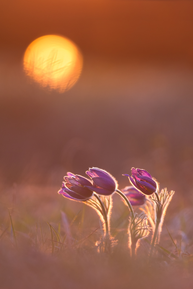 Sundown