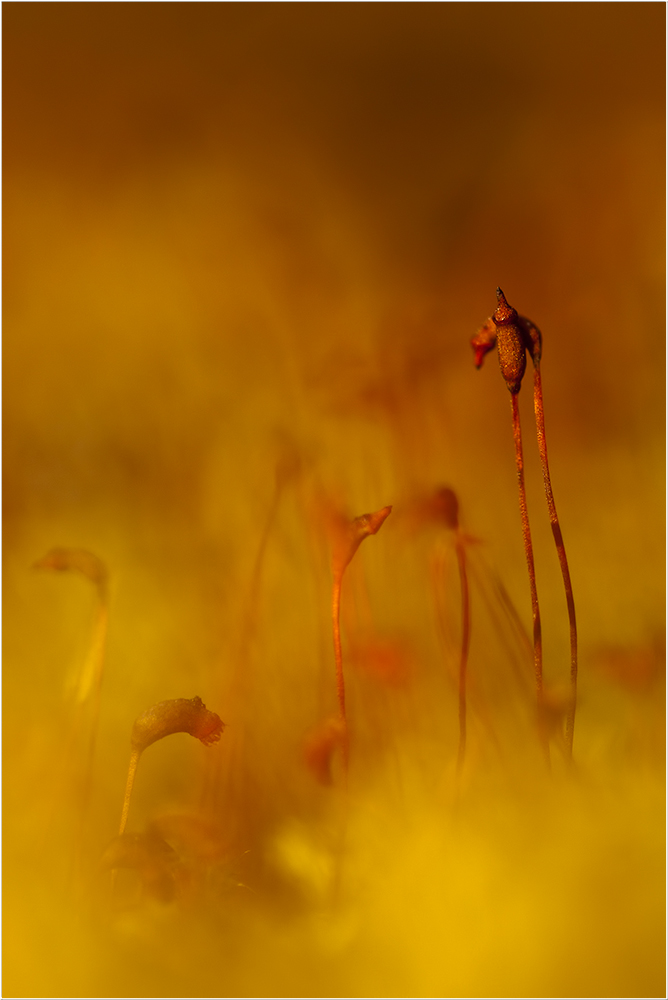 Leuchtende Farben