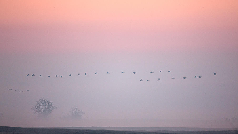 Ein Morgen in Vorpommern