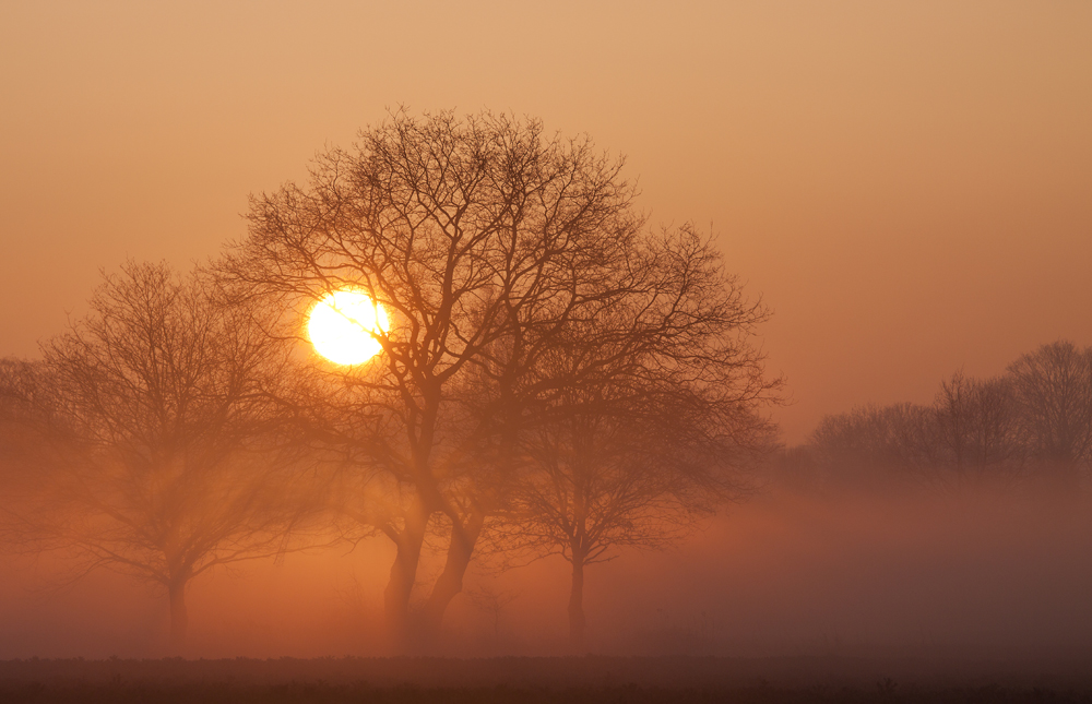 Nebelmorgen in Dortmund