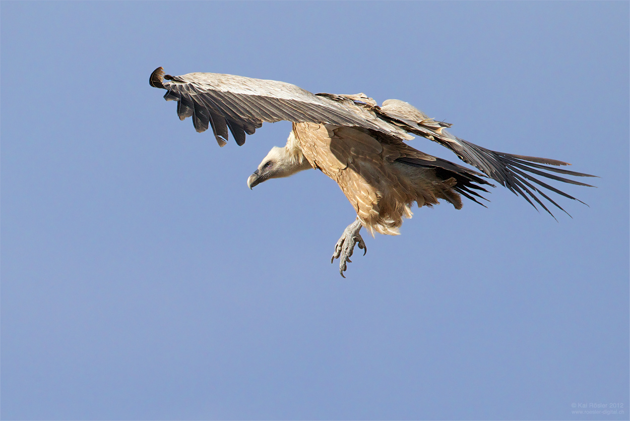 Landeanflug