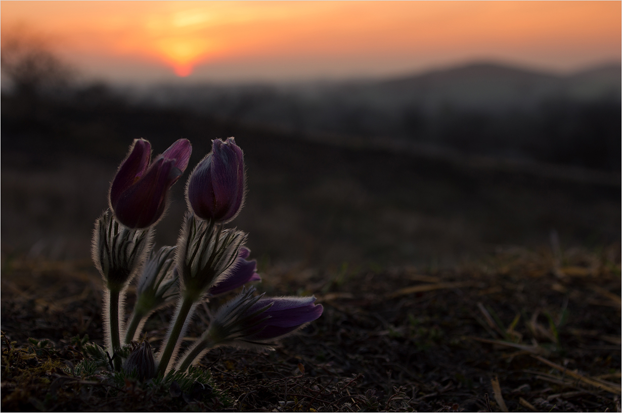 Frohe Ostern